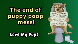 The solution to puppy poop mess