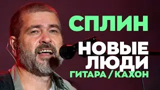 Сплин — Новые люди | Гитара / Кахон | Karaoke FM version