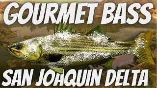 Fishing Planet - Gourmet Bass MONSTER - How To Catch San Joaquin Delta Monster.