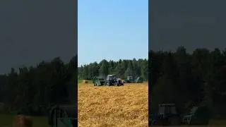 По полям по полям синий трактор едет к нам. А что же он везет в прицепе? #синийтрактор #агроэнерго