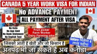 Canada 🇨🇦5 Year Work Visa | No advance | all payment after visa | farming jobs| 6th pass can apply