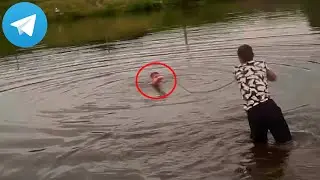 ЛЁХА ЧУТЬ НЕ УТОНУЛ! МОМЕНТ БЕЗ ЦЕНЗУРЫ ИЗ ТЕЛЕГРАМА МАКСА ВАЩЕНКО!