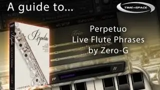 Zero-G Perpetuo Live Flute Phrases