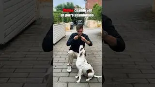 Cuando ves un perro abandonado 😂