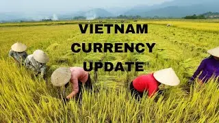 Vietnam VND Currency Rate Update And Economy