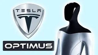 Elon Musk's New AI Tesla OPTIMUS BOT