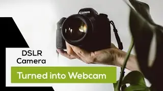 Use DSLR as webcam without capture card?  