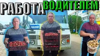 Работа водителем на Автобусе. 🚍 Работа на полях.🚌