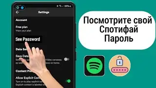 Как увидеть свой пароль Spotify (2024 г.) | Как увидеть пароль Spotify, если вы его забыли