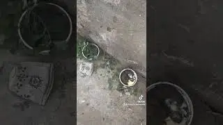 Думаю коментувати не має сенсу.