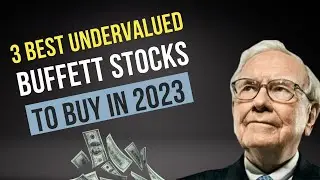 3 Best Undervalued Warren Buffett Stocks to Buy in 2023