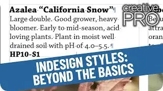 InDesign Styles: Beyond the Basics! // Anne-Marie Concepción - CreativePro
