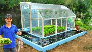 Tips to build cheap but high efficient aquarium and greenhouse to grow vegetables