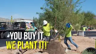 Dream Desert Landscape Planted By Moon Valley Nurseries