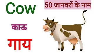 animals name । animals name Hindi and English ।  name of animals एनिमल्स नेम ।  जानवरों के नाम ।