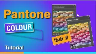 How to find pantone color in illustrator | Pantone color | How to get pantone color in illustrator