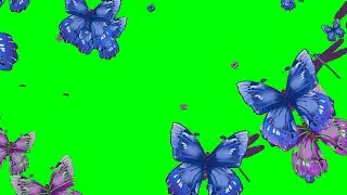 Animated Butterfly Amazing Landing Effects MOTION💯| #greenscreen  - chroma key animations HD *1080*