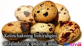 QIZLAR BOKIRALIGINI ANIQLASHNING QADIMGI USULI QANDAY BO'LGAN.