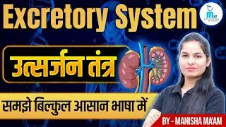 Excretory System in hindi | उत्सर्जन तंत्र | Structure & Function | Kidney