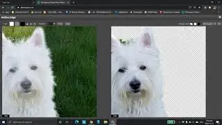 Photopea Tutorial 4  Remove Complex Background