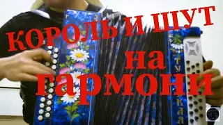 Разбор песни на гармони 