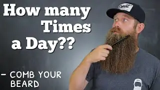 Comb Your Beard - How Often Should You?