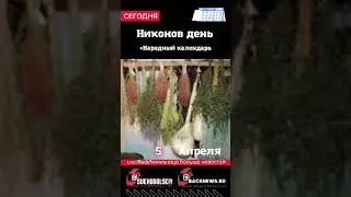 Сегодня, 5 апреля, в этот день отмечают праздник, Никонов день