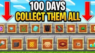 We Survived 100 Days  in Minecraft RACING to Collect its RAREST Items. Here's what happened.