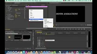 Creating Smooth Animations in Adobe Premiere Pro