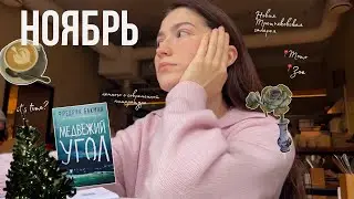 несколько не серых дней в ноябре