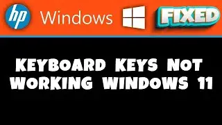 HP Laptop -  keyboard keys not working windows 11