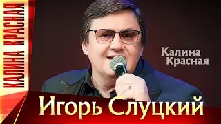 Игорь Слуцкий – Калина Красная. КЗ "Измайлово", 19.11.2022 г.