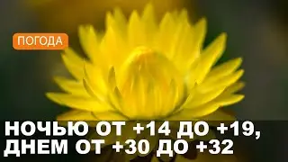 Погода на Могилевщине 28.08.2024 // Жара