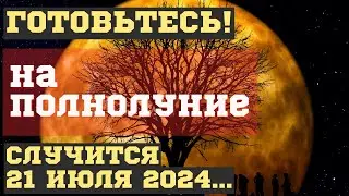 ЧТО СЛУЧИТСЯ на ПОЛНОЛУНИЕ 21 июля 2024, во время ГРОМОВОЙ ЛУНЫ. ЧЕМ ОПАСНО для ВСЕХ