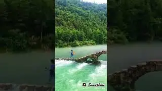 Chinese green