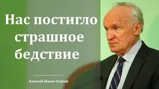 Нас постигло страшное бедствие (Алексей Ильич Осипов)