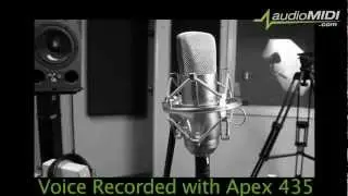 audioMIDI.com "Apex 435 Budget Condensor Microphone"