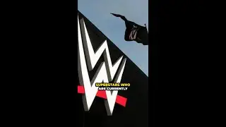 Injured WWE Superstars Who's Your Favorite Comeback 