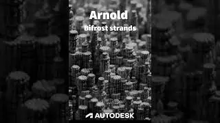 #arnoldrenderer #gpu