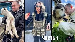 Собаки под ОБСТРЕЛОМ / Как живет Блогер в Украине