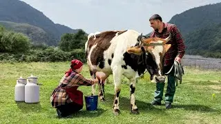 A Dish Made From Homemade Village Milk! Quiet Life In The Mountains