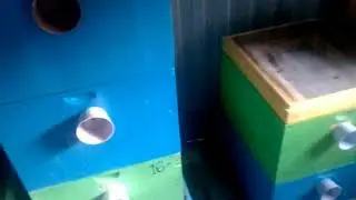 КАК СОХРАНИТЬ СУШЬ ДО СЛЕДУЮЩЕГО СЕЗОНА  ОТ МОЛИ  огневки и мышей.