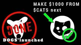 How to make $1000 from CATS | The next DOGS