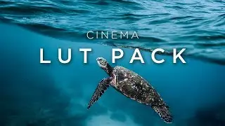 LUT Pack II - 12 Cinematic Luts - by Paule Porter