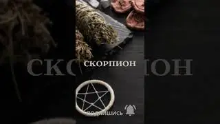 СКОРПИОН. ЗОДИАКИ ДЛЯ ВСЕХ. ▶️ВЕДЬМИНА ИЗБА ▶️ ИНГА ХОСРОЕВА.