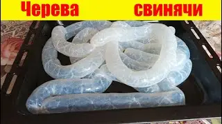 ✅Как чистить кишки для колбасы. Свинячи кишки. Черева для ковбаси