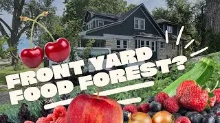 Turn your Front Yard into a Food Forest and Chaos Garden! (Yes front yard!)