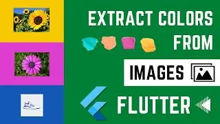 Generating Color Palette from Images in Flutter - An Easy Guide for Beginners