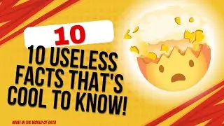 10 Useless Facts That's Cool To Know! 😘