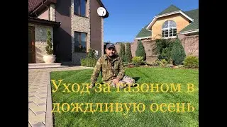 Уход за газоном в дождливую осень